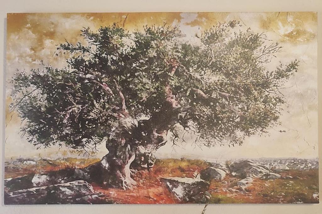 Olive Grove Cottage Skalani Knosos Exterior photo